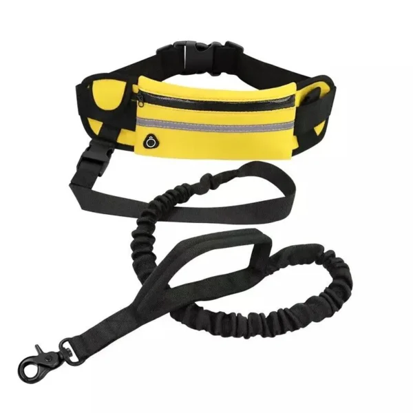 Running Dog Leash