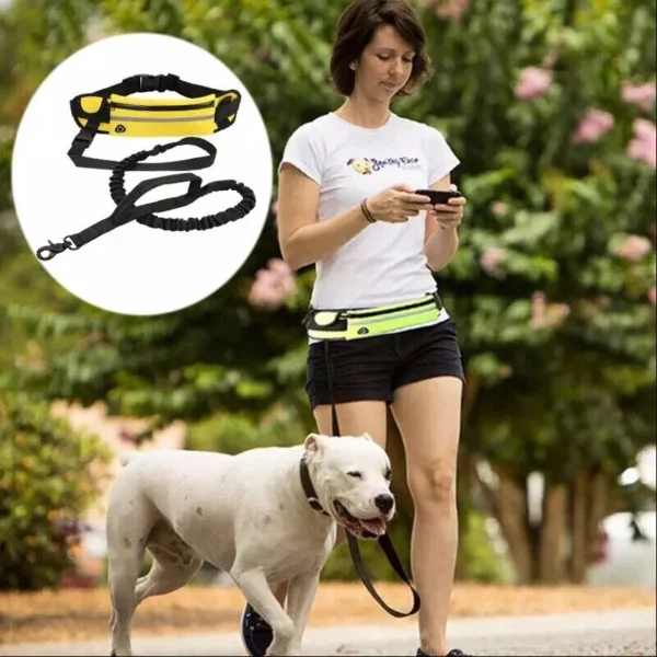 Jogging with a dog