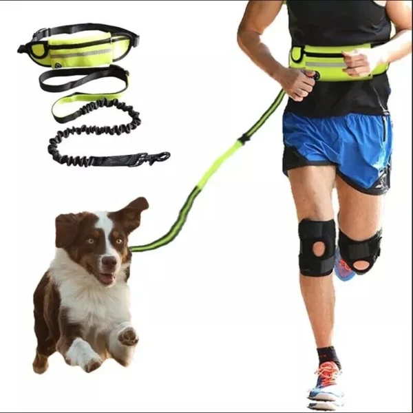 1. Leash for running, dog walking leash, jogging leash for dogs, waist belt jogging leash, walking leash, and hiking leash with a belt