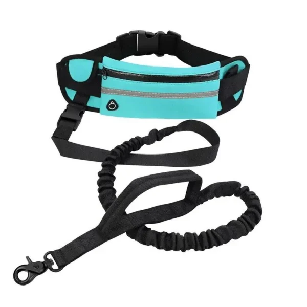Sport Dog Leash