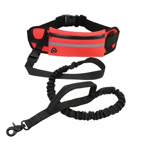 Running Dog Leash