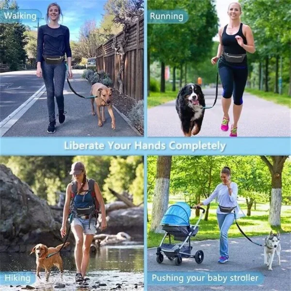 1. Leash for running, dog walking leash, jogging leash for dogs, waist belt jogging leash, walking leash, and hiking leash with a belt