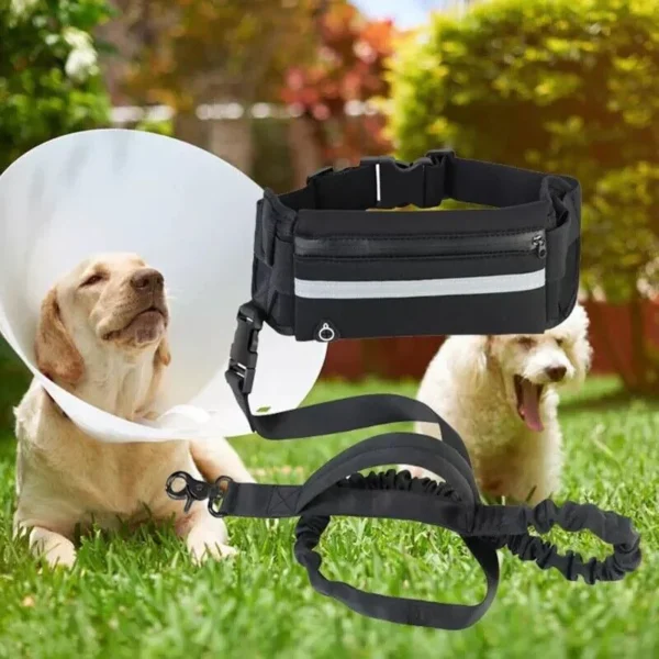 Hands free Leash