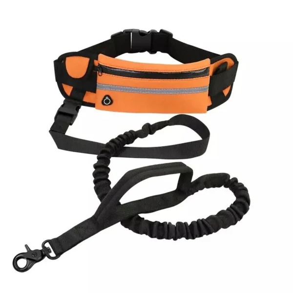 Hands free Leash