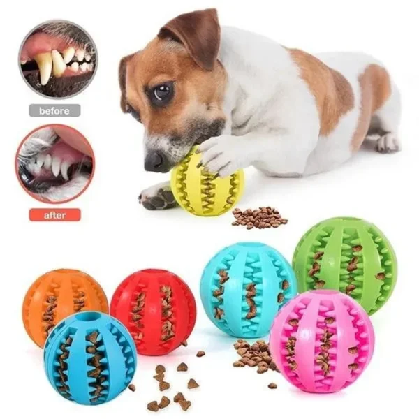 Dental Toy Dogs