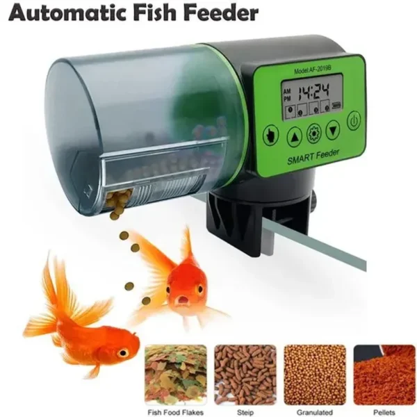 Automatic fish feeder