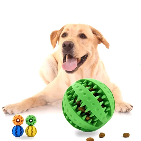 Silicone Dog Pet Toy