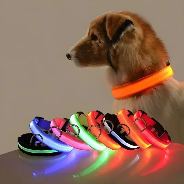 LED Safety Collar