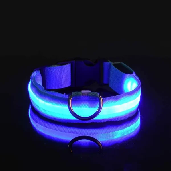 Light Safety Dog Collar Nylon LED Night Safety Flashing Glow in the Dark Pet Dog Leash Pet Dogs Luminous Fluorescent Dog Accessories Collar