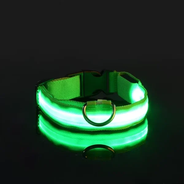 Light Safety Dog Collar Nylon LED Night Safety Flashing Glow in the Dark Pet Dog Leash Pet Dogs Luminous Fluorescent Dog Accessories Collar