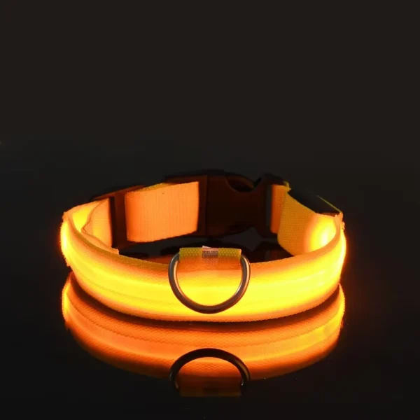 Light Safety Dog Collar Nylon LED Night Safety Flashing Glow in the Dark Pet Dog Leash Pet Dogs Luminous Fluorescent Dog Accessories Collar