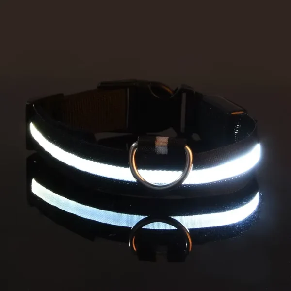 Light Safety Dog Collar Nylon LED Night Safety Flashing Glow in the Dark Pet Dog Leash Pet Dogs Luminous Fluorescent Dog Accessories Collar
